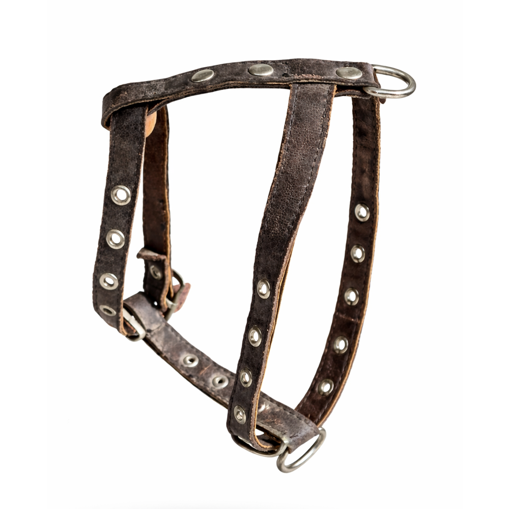 Köpek Tasması Deri Göhüs Küçük