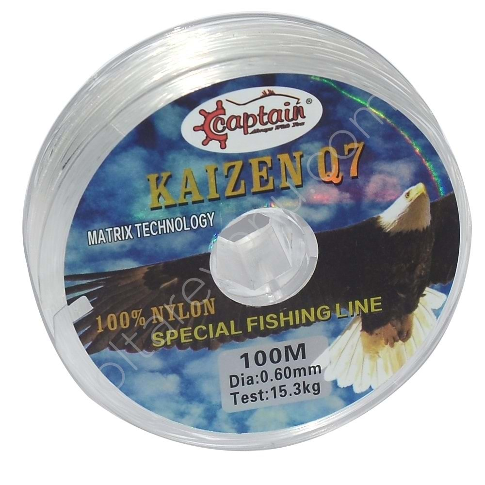 KAIZEN Q7 100 m MAKARA MİSİNA 0,25 mm