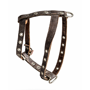 Köpek Tasması Deri Göhüs Küçük