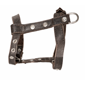 Köpek Tasması Deri Göhüs Küçük