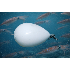 BULRAĞ ŞAMANDIRA YUMURTA BEYAZ 45 gr