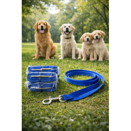 Köpek Gezdirme Mavi Renk Boy : 90 cm