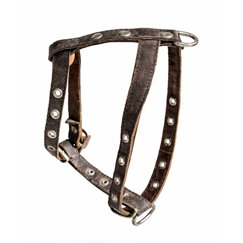 Köpek Tasması Deri Göhüs Küçük